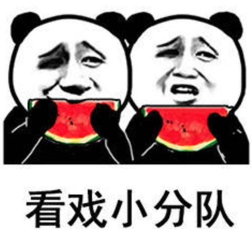 发一个吃瓜的表情回复什么