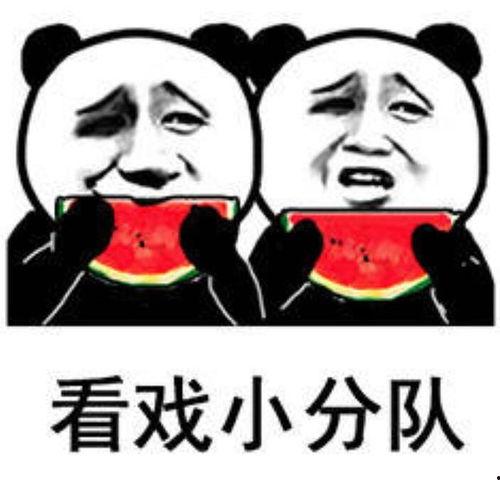 吃瓜表情包怎么回复别人呢,轻松应对网络调侃