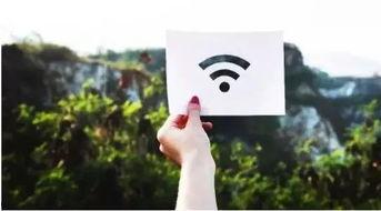 718娱乐吃瓜官网入口看天气,天气变化背后的娱乐风云”