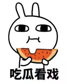 娱乐吃瓜君沙雕,揭秘娱乐圈那些沙雕趣事